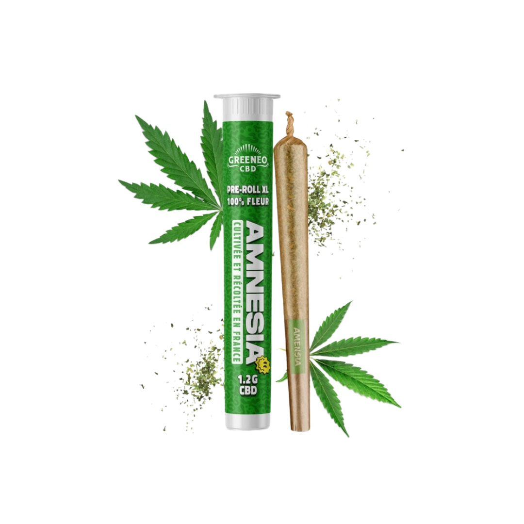 Pre-Roll XL Amnesia Greeneo CBD