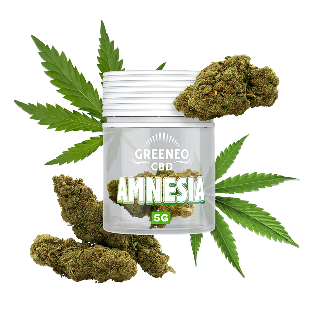 Fleur CBD Amnesia Greeneo